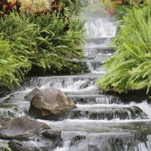 Meet your Posher, Berta